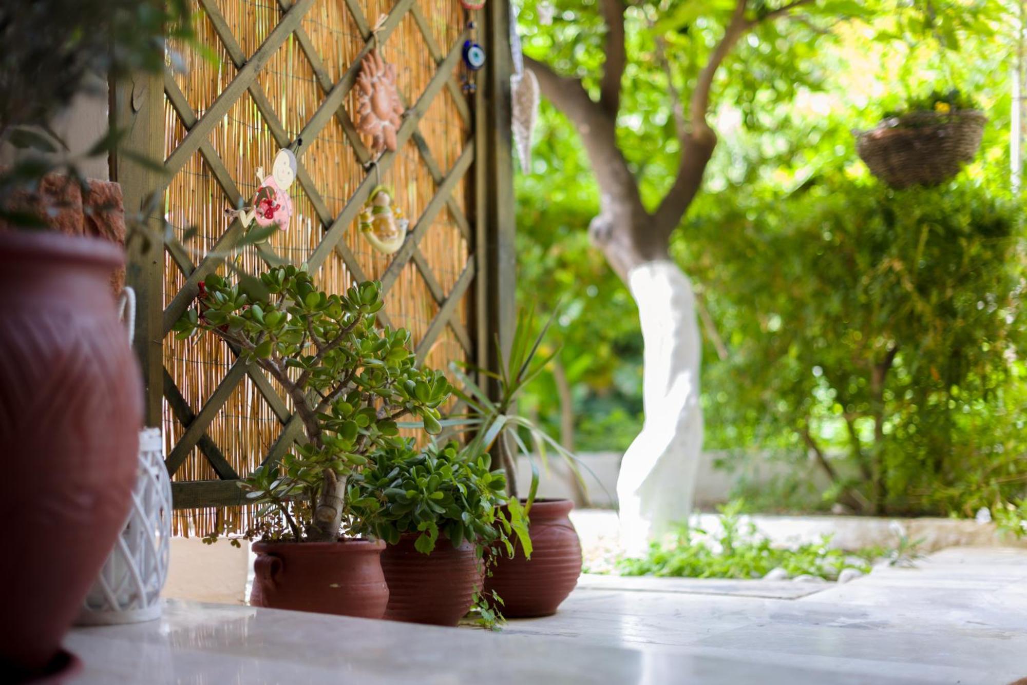 Oasis Home Τολό Εξωτερικό φωτογραφία