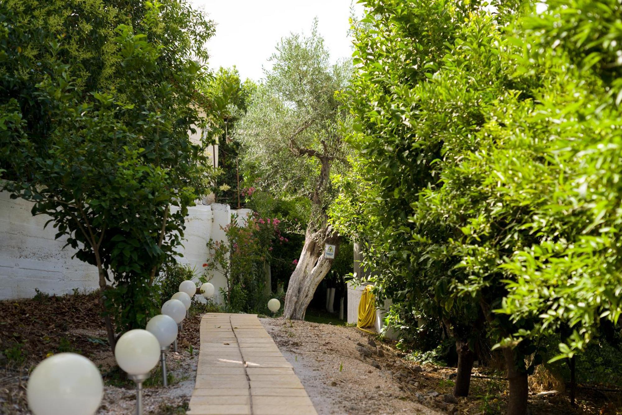 Oasis Home Τολό Εξωτερικό φωτογραφία
